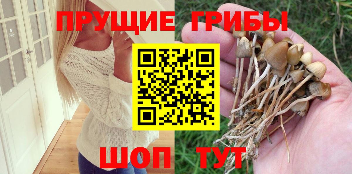 Псилоцибиновые грибы ЛСД  сколько стоит  Каменка  Вход с VPN 